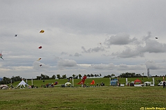 Venice kite festival_0501